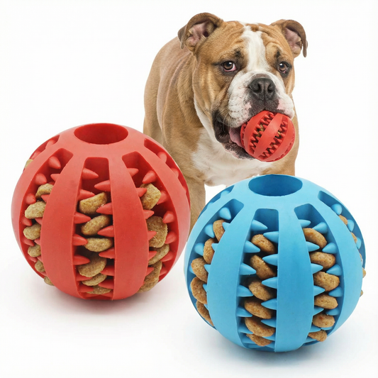 Chew 'n Play Slow Feeder Ball
